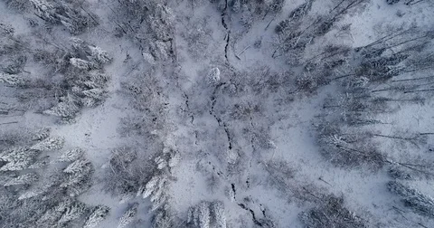  Siberian taiga.A small stream in the winter forest. Aerial View. Top down. Stock Footage 81161847