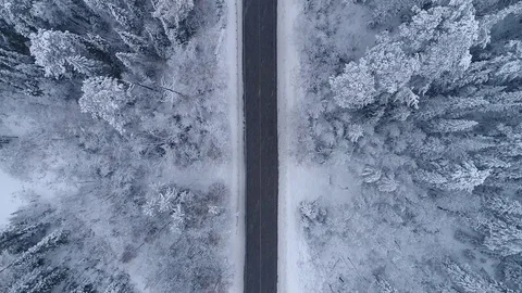 Siberian taiga.Road in the winter forest. Heavy snowfall. Aerial View. Video stock 81157456