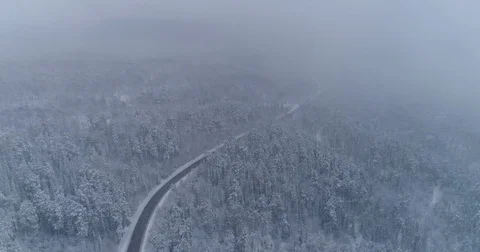  Siberian taiga.Road in the winter forest. Heavy snowfall. Aerial View. Video stock 81163242