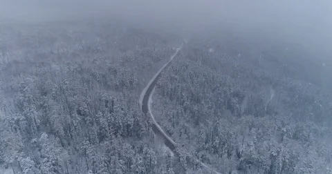  Siberian taiga.Road in the winter forest. Heavy snowfall. Aerial View. Video stock 81163524