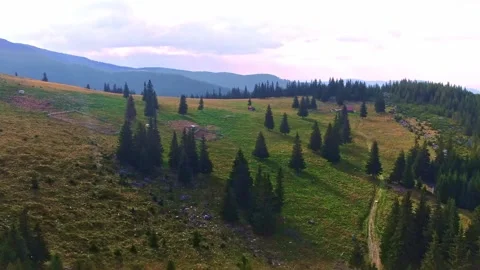 Sibiu Stock Footage 164092599