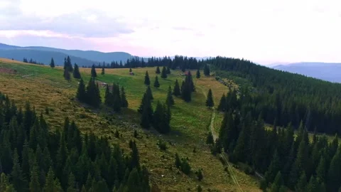 Sibiu Stock Footage 164092642