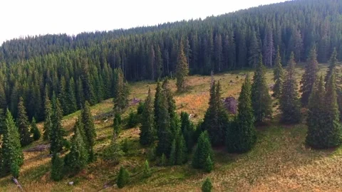 Sibiu Stock Footage 164092646