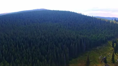 Sibiu Stock Footage 164092654