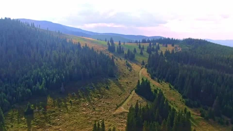 Sibiu Stock Footage 164092662