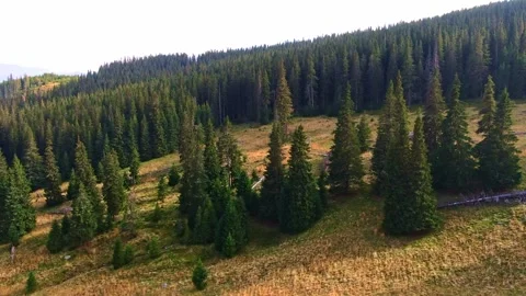 Sibiu Stock Footage 164092727