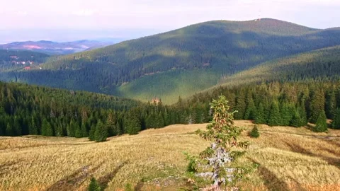 Sibiu Stock Footage 164092731