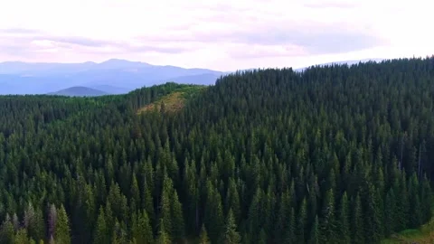 Sibiu Stock Footage 164092737