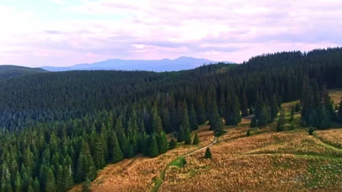 Sibiu Stock Footage 164092755