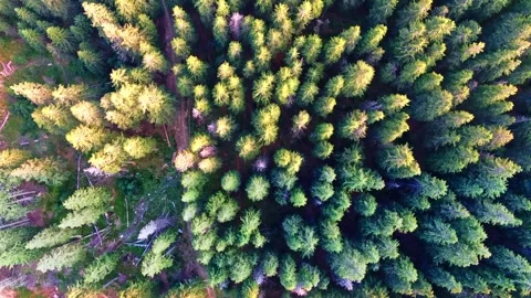 Sibiu Stock Footage 164092763