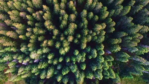 Sibiu Stock Footage 164092774