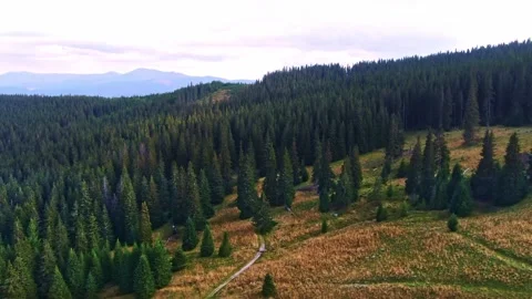 Sibiu Stock Footage 164092805