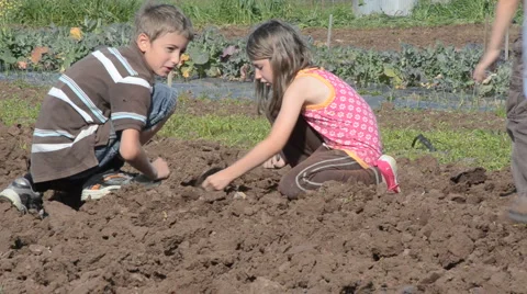 Sibling teamwork on the farm 動画素材 1122215