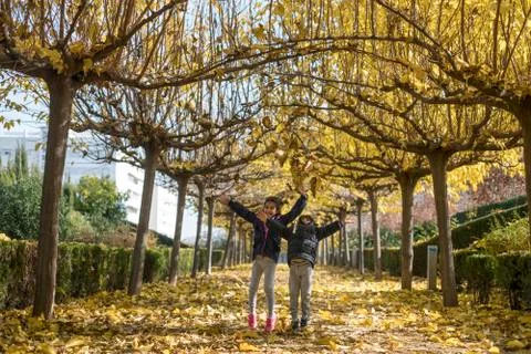 Siblings with autumn leafs ready for play in autumn day Stock Photos
