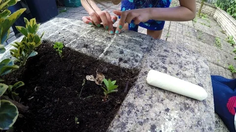 Siblings playing with insects and chalks in the yard, childhood concept Stock Footage 79931923