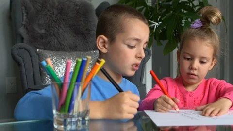 Siblings playing together Stock Footage 100139264