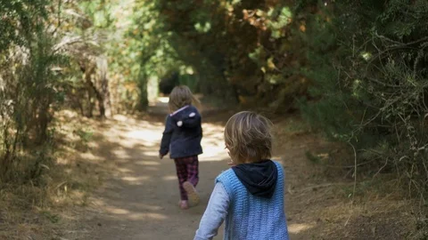 Siblings running on the forest Stock-Footage 118414253