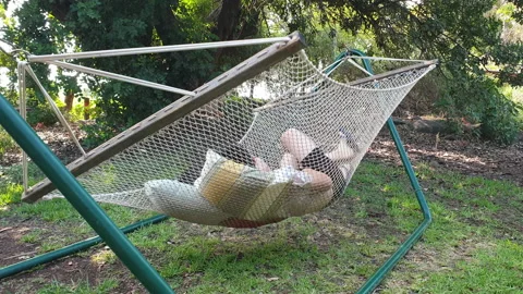 Siblings swing on the hammock outdoor Stock Footage 160496445