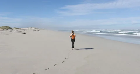 Siblings walking on beach, Walker Bay Nature Reserve, Western Cape, South Africa Video stock 202957289
