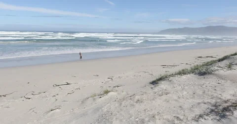 Siblings walking on beach, Walker Bay Nature Reserve, Western Cape, South Africa Stock Footage 202991486
