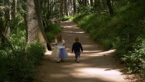 Siblings walking on the woods Stock Footage 106463279