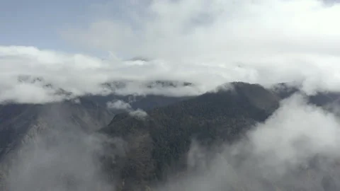 Sichuan china forest Stock Footage 256796232