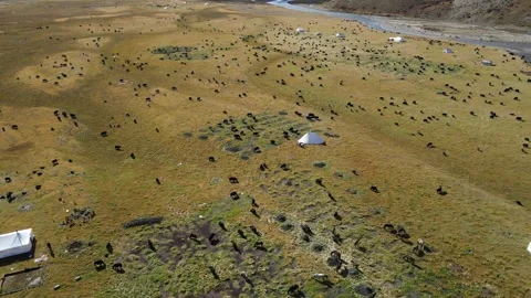 Sichuan Grassland Nomads Stock Footage 242467677