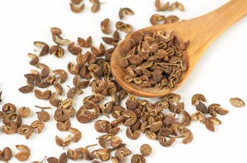 Sichuan pepper close up Stock Photos