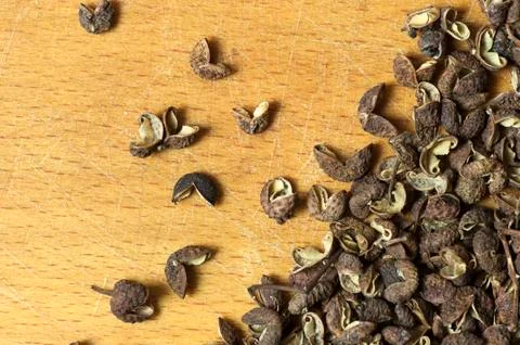 Sichuan pepper close up Stock Photos