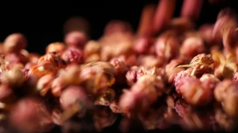 Sichuan Pepper Closeup Fall Down Stock Footage 111640568