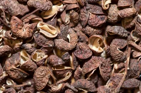 Sichuan pepper Stock Photos