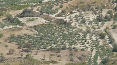 Sicilan Countryside Stock Footage 323140286
