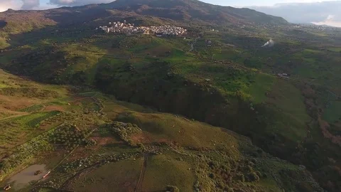 Sicilian fields with cow Stock Footage 76051207