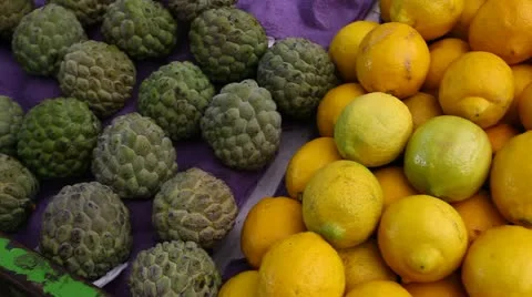 Sicilian lemon Stock Footage 22017116