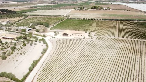Sicilian millstone with rows of vines around Stock Footage 159020111