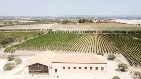 Sicilian millstone with rows of vines around Stock Footage 159020347