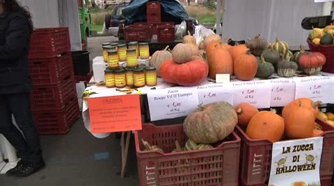 Sicilian pumpkin. Stock Footage 8946228