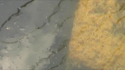 Sicilian Villa in Ragusa Stockbeeldmateriaal 108807953