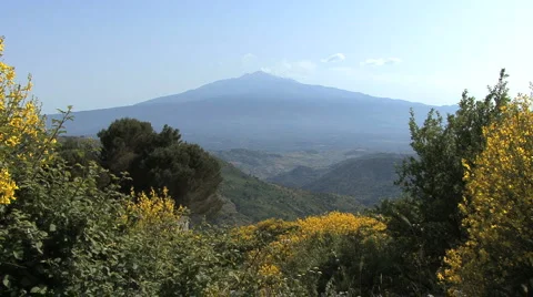 Sicily Etna and yellow flowers Stock Footage