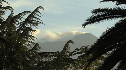 Sicily Etna through palms Stock Footage 2338254