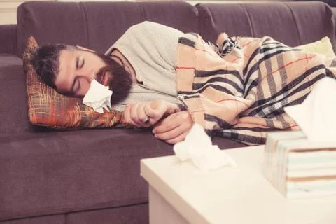 Sick bearded man lying on sofa at home and blowing nose. Stock Photos