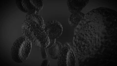 Sick Black Blood Cells Stock Footage 81072467