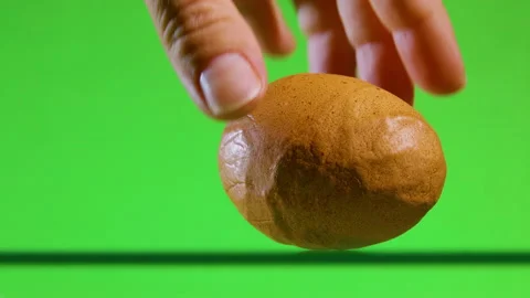 Sick egg or deformed shell. GMO products. Bird disease. Video stock 204165817