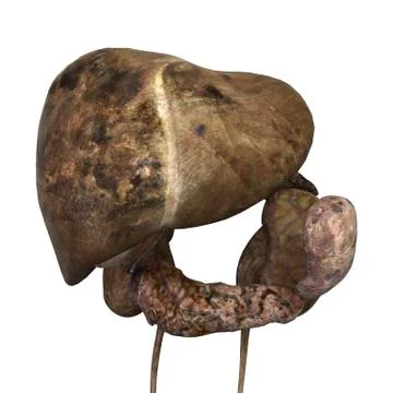 Sick Human Liver Stock Illustration