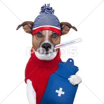 Sick ill cold dog Stock Illustration