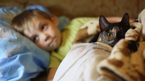 Sick little boy, lying in bed with a flu and a fever, watching TV Video stock 74490052