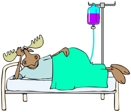 Sick moose in bed Illustrazione stock