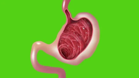 Sick stomach characters. Stock Footage 289806739