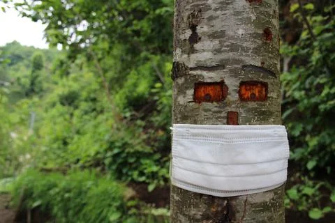 Sick tree Stock Photos