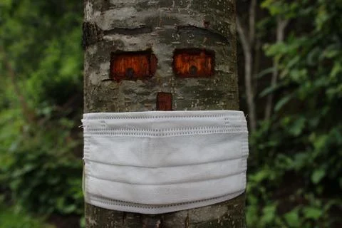 Sick tree Stock Photos